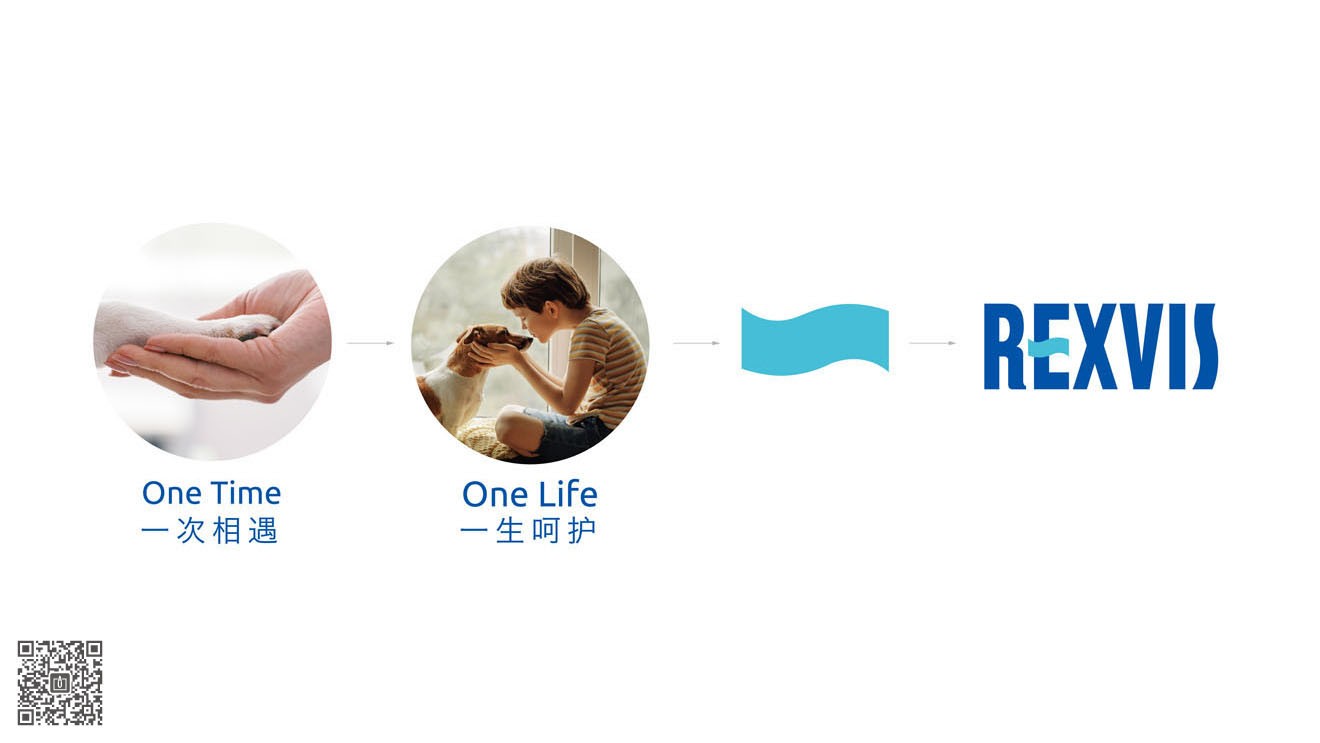 REXVIS力维士品牌&营销必威官方首页官网电话查询策划设计