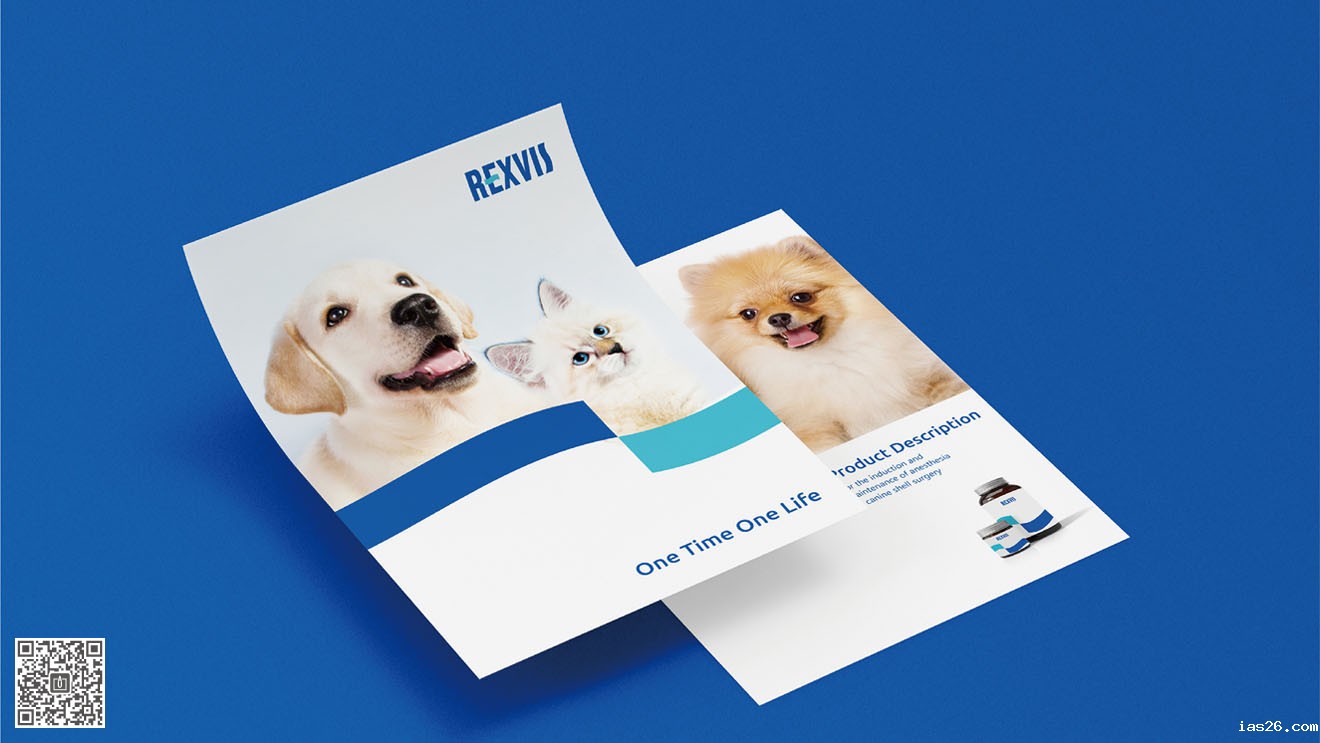 REXVIS力维士品牌&营销必威官方首页官网电话查询策划设计